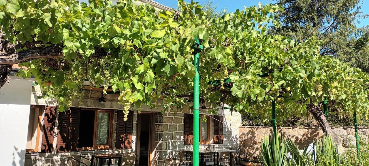 La Parra De Pepa Guest House Cercedilla Bagian luar foto